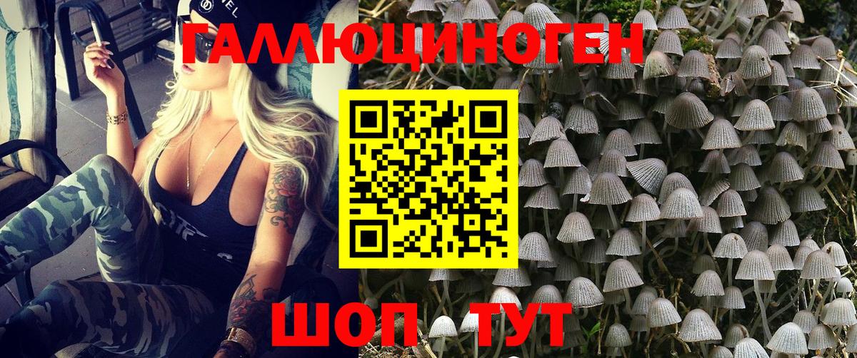 Галлюциногенные грибы Psilocybine cubensis  Вход с VPN  Уссурийск  Псилоцибиновые грибы мухоморы 