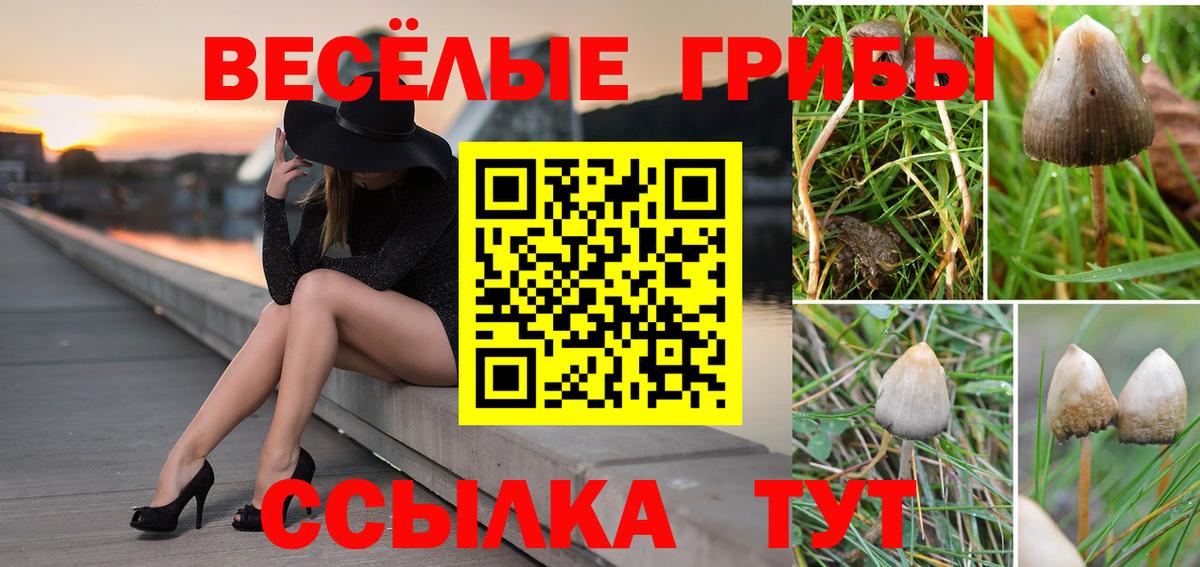 Псилоцибиновые грибы GOLDEN TEACHER Уссурийск